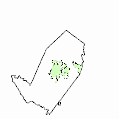 Export Image